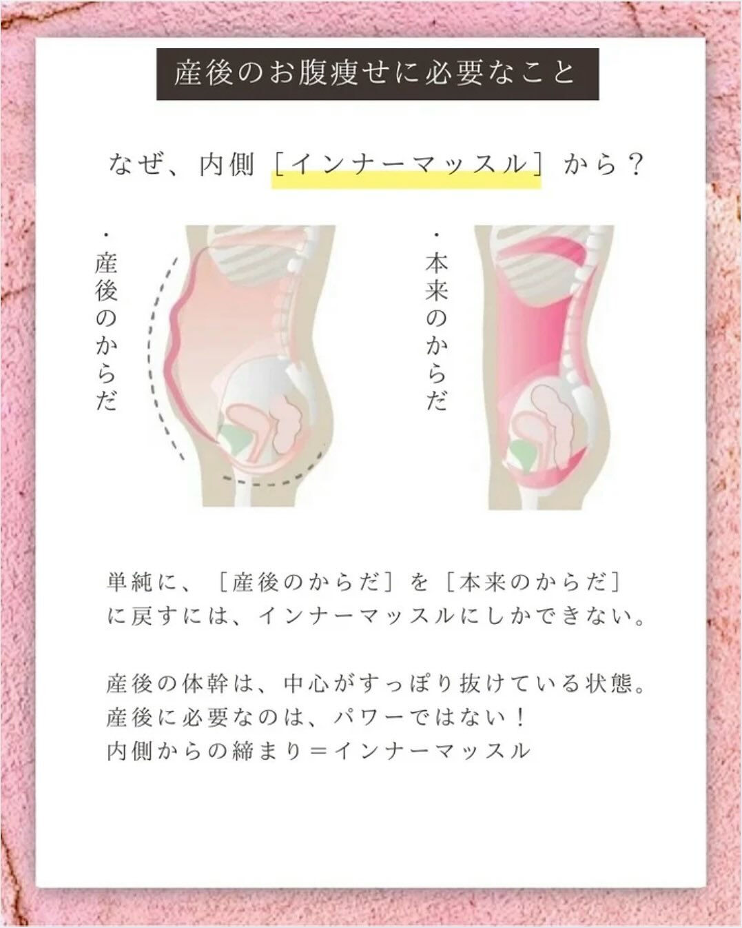 骨盤底筋｜産後のお腹を戻す鍵となる筋肉