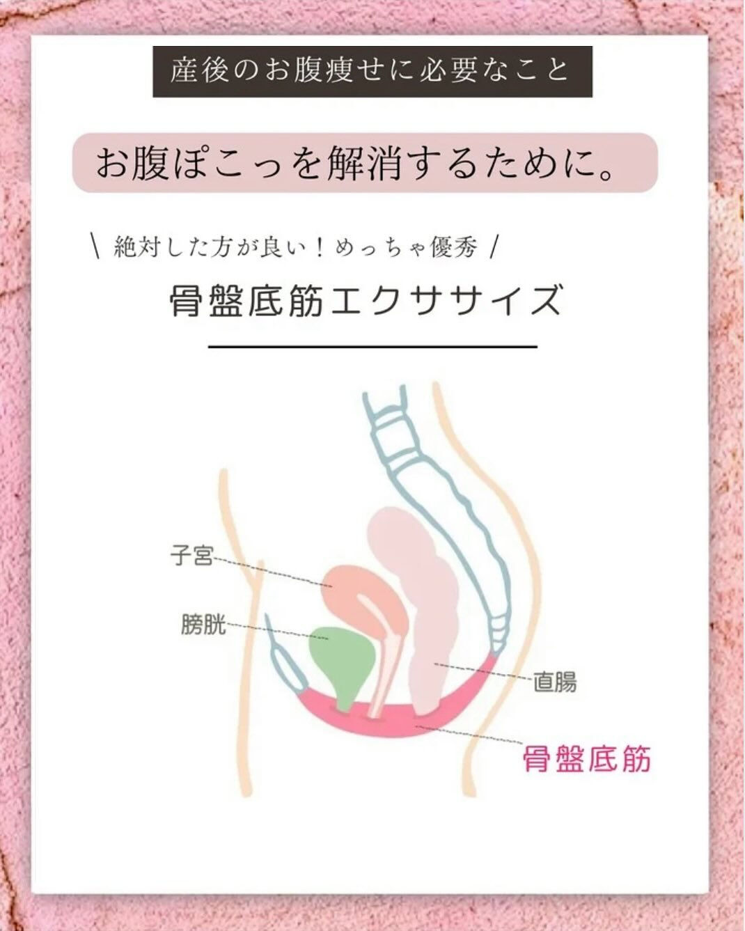 骨盤底筋｜産後のお腹を戻す鍵となる筋肉