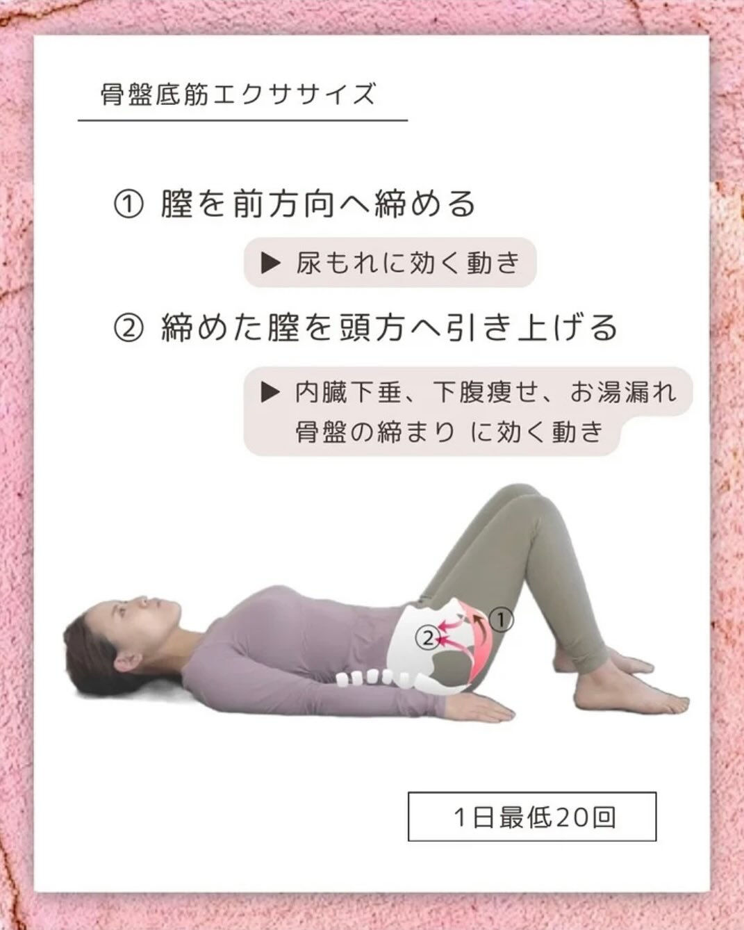 骨盤底筋｜産後のお腹を戻す鍵となる筋肉