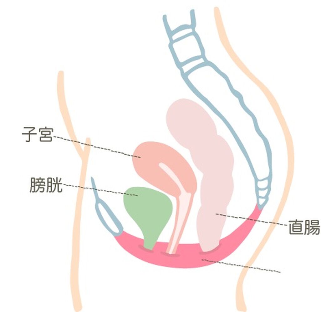 画像4116