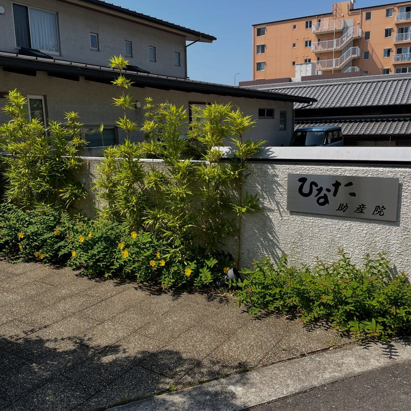 2/5開催！骨盤底筋エクササイズ教室｜ひなた助産院にて